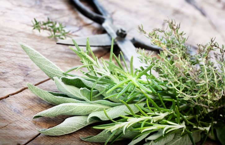 Freshly Harvested Herbs
