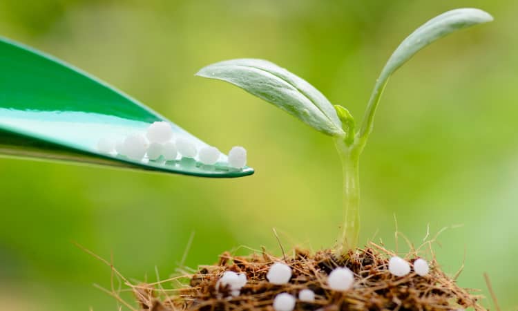 Fertilizer