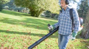 Best gas leaf blower