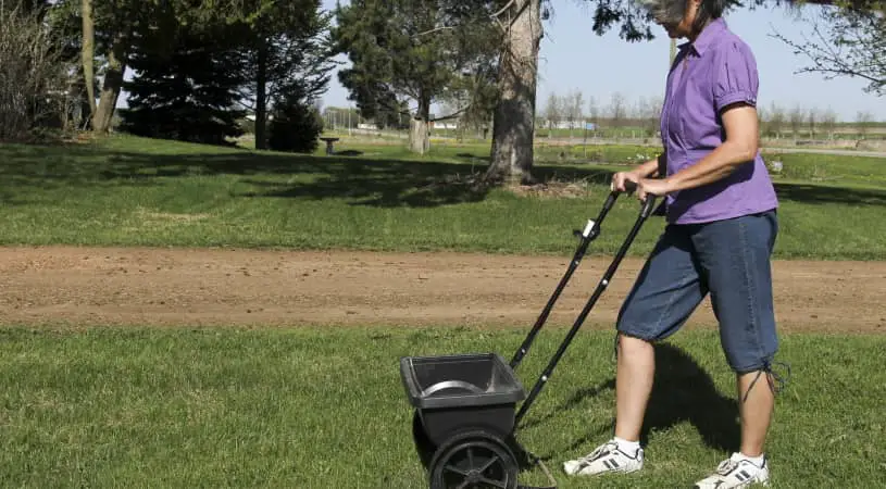 Woman fertilizing lawn