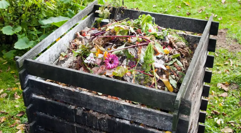 Compost bin