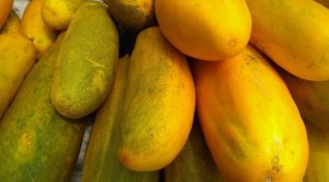 why are my cucumbers turning yellow