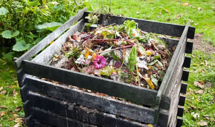 Compost bin