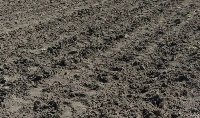 tilled land