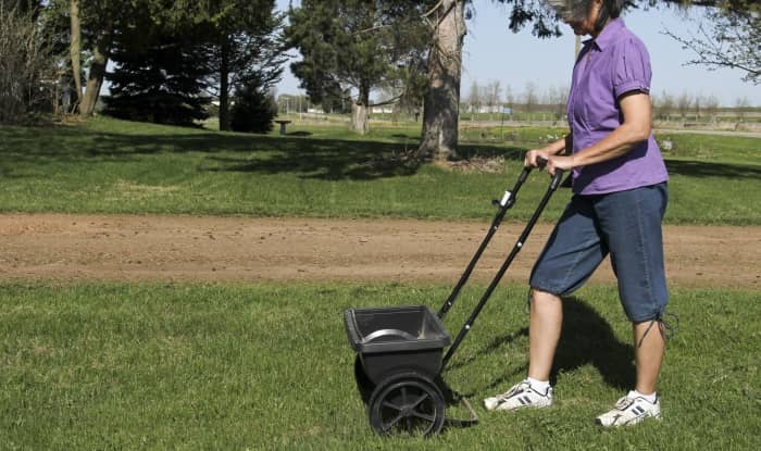 Woman fertilizing lawn