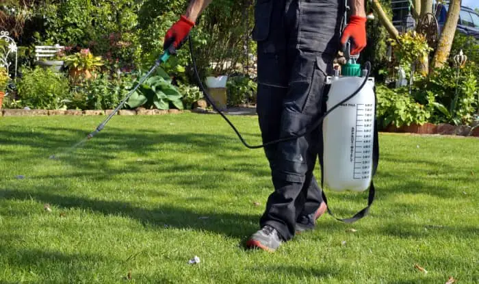 spraying weed killer