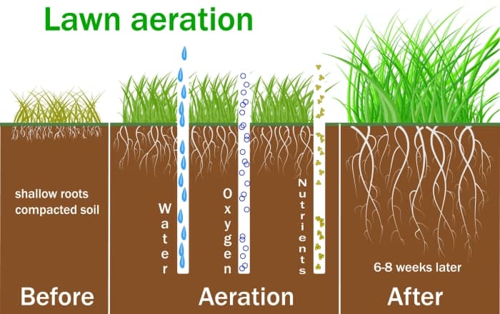 Lawn aeration