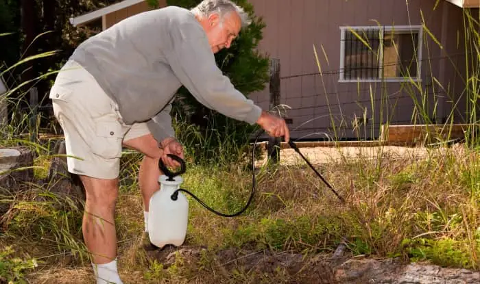 spraying weed killer