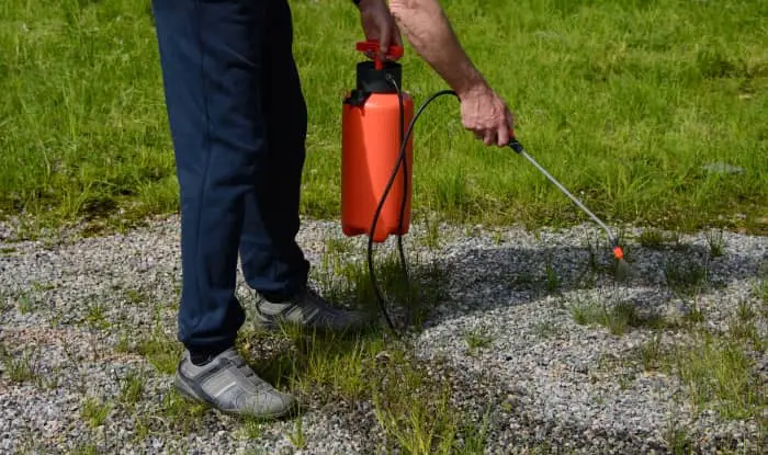 spraying weeds in gravel