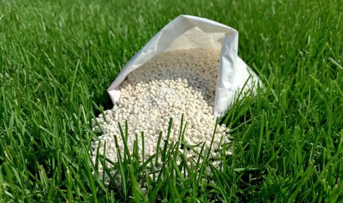 What is pre-emergent fertilizer