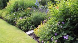 How To Apply Pre-emergent For Flower Beds