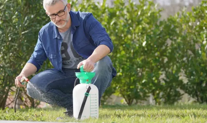 man spraying post-emergent and pre-emergent on his lawn