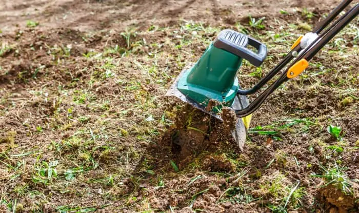 tilling weeds