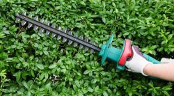 Cutting Weeds With A Hedge Trimmer