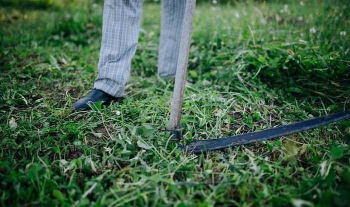 How To Use A Scythe To Cut Grass, Weeds, & Hay