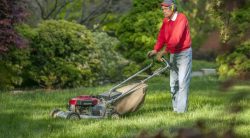Does Mowing Weeds Spread Them?