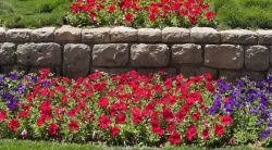 How To Kill Weeds In Flower Beds: A Complete Guide