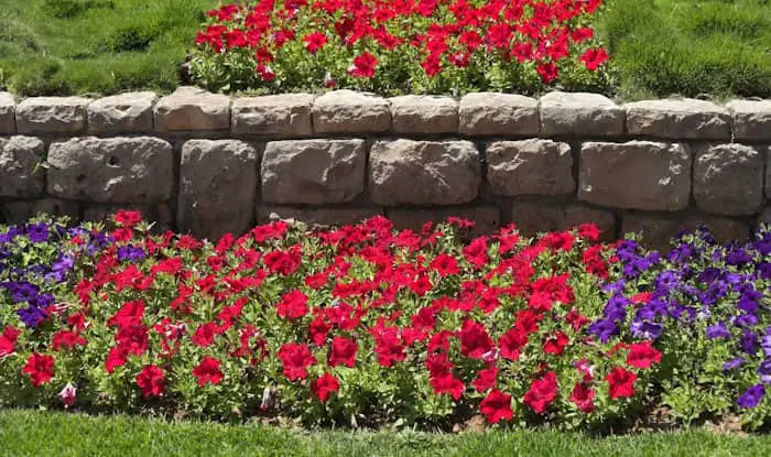 How to kill weeds in flower beds