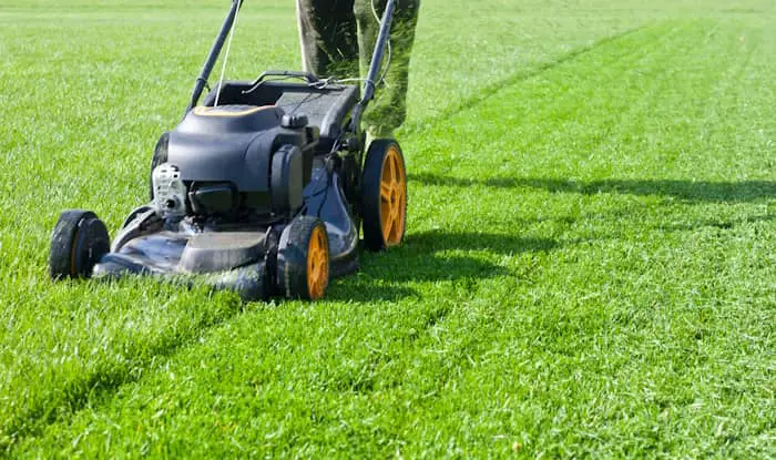 Mowing grass